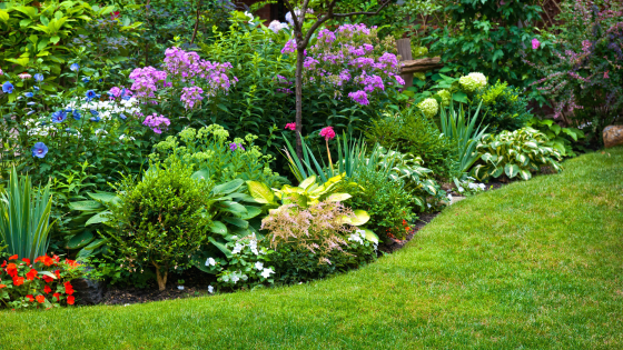 Incorporate Perennials in Your Landscaping - Howard Hanna | Coach Realtors